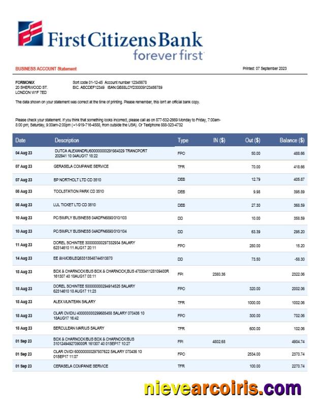 First Citizens Bank business statement